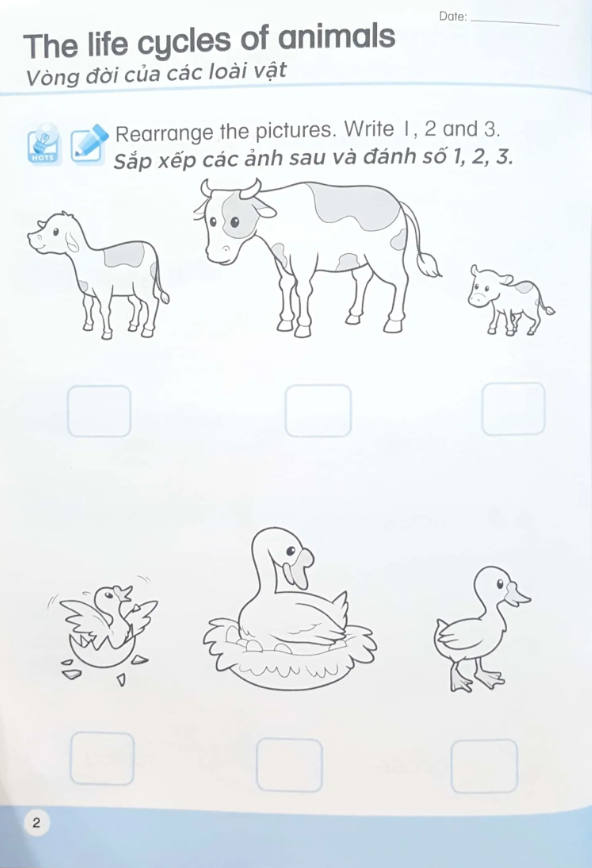 bộ khoa học tiền tiểu học song ngữ- sách luyện tập 5 - Ảnh 5