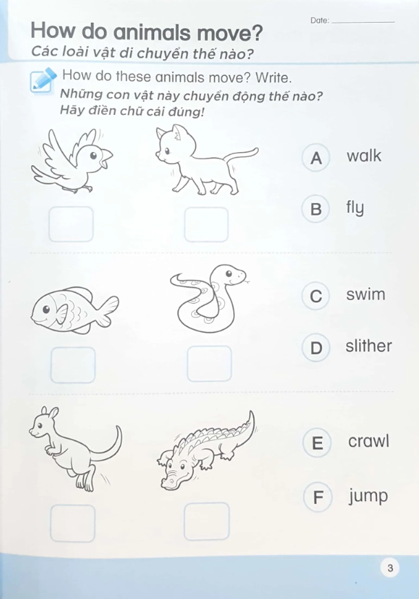 bộ khoa học tiền tiểu học song ngữ- sách luyện tập 5 - Ảnh 6