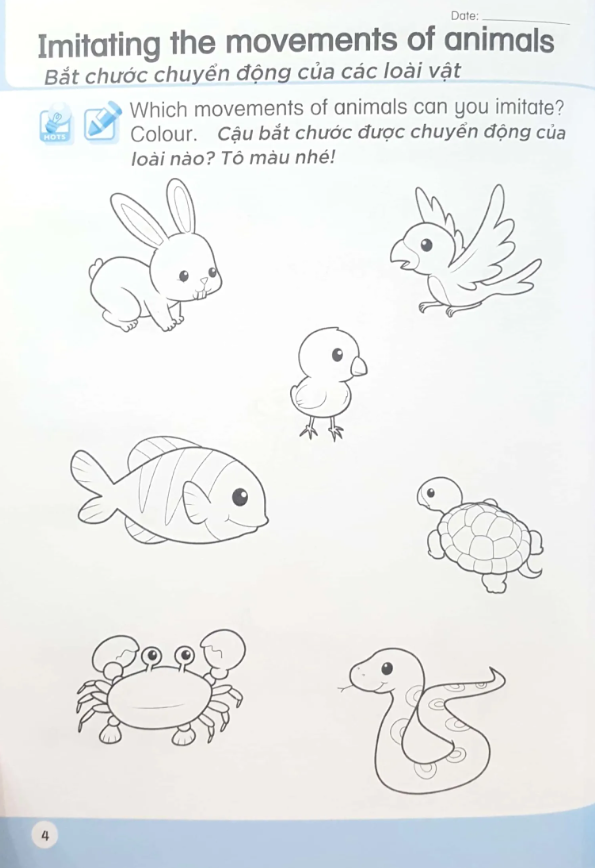 bộ khoa học tiền tiểu học song ngữ- sách luyện tập 5 - Ảnh 7