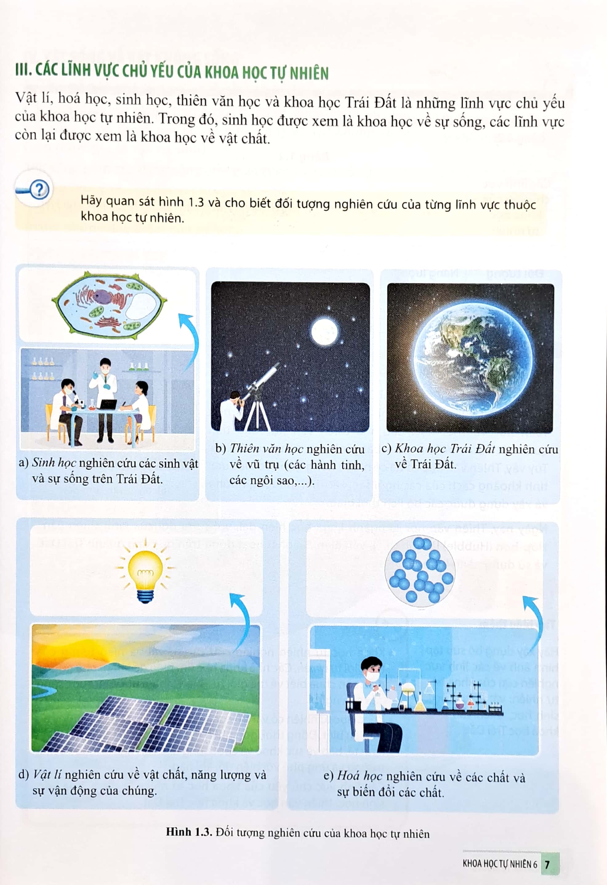 bộ khoa học tự nhiên 6 (cánh diều) (chuẩn) - Ảnh 6