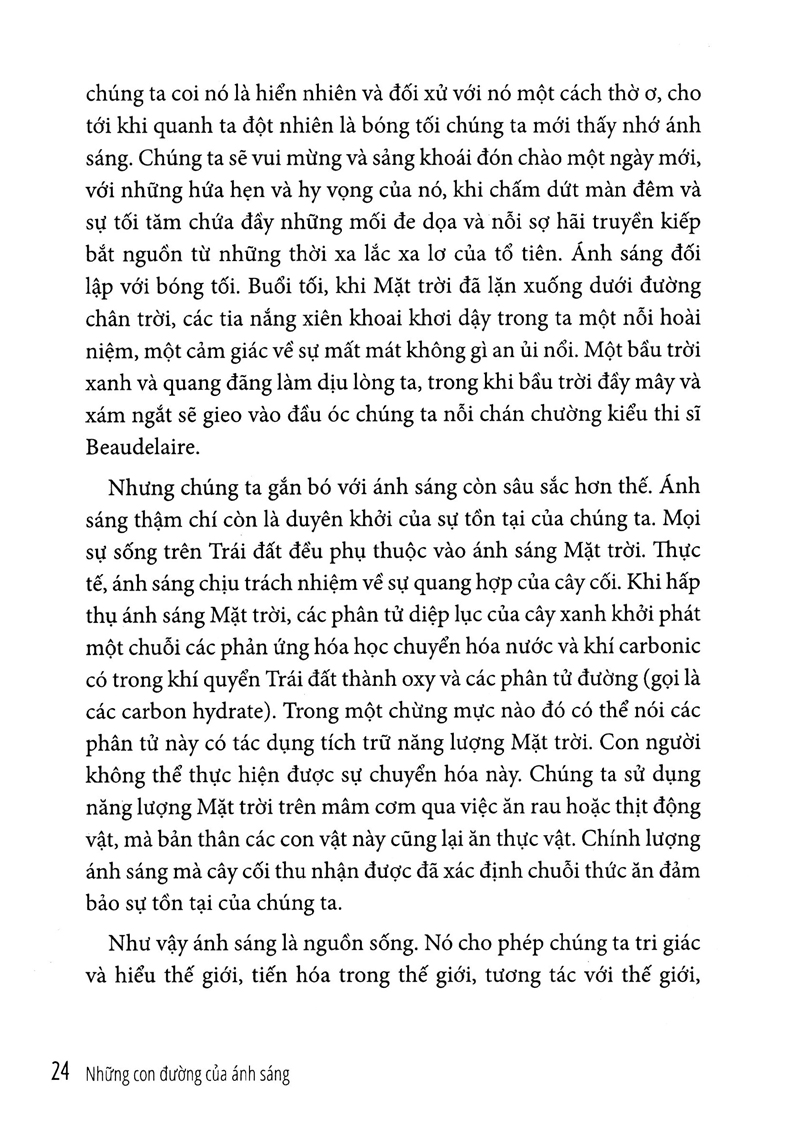 bộ khoa học và khám phá - những con đường của ánh sáng - tập 1 (tái bản 2023) - Ảnh 5
