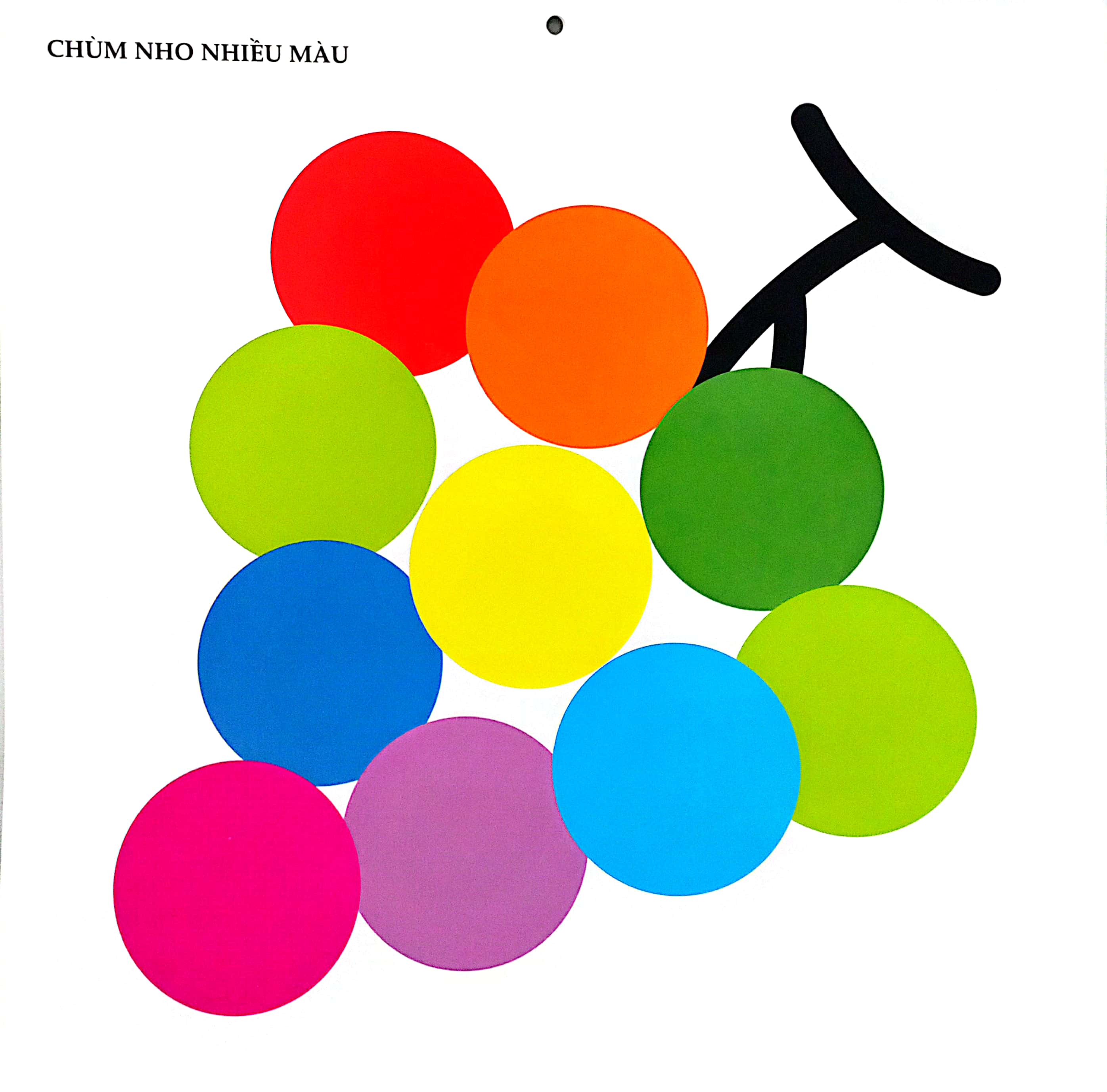 bộ kích thích phát triển thị giác cho bé - 5 tháng tuổi (tái bản 2019) - Ảnh 5