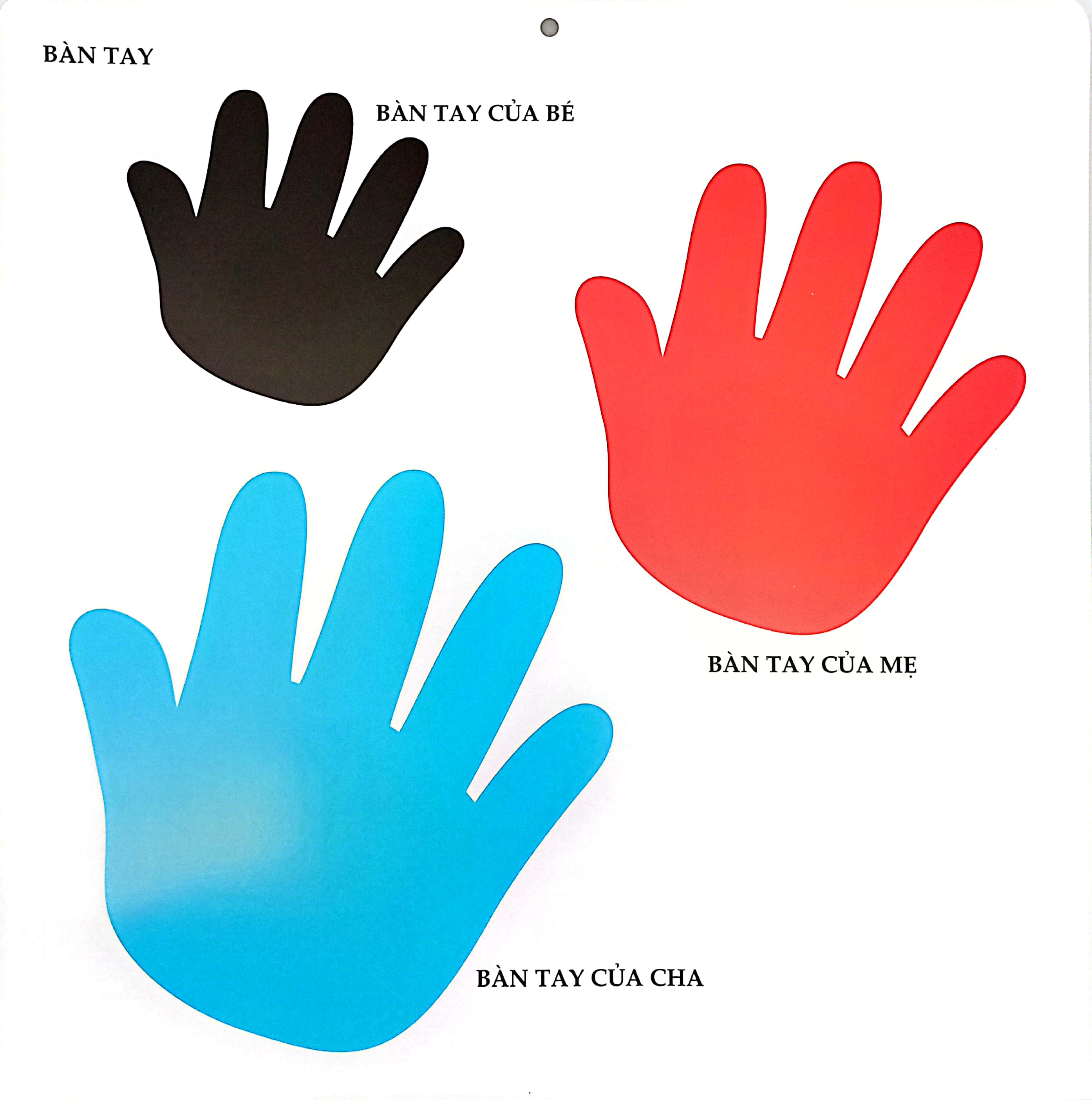 bộ kích thích phát triển thị giác cho bé - 6 tháng tuổi (tái bản 2019) - Ảnh 3