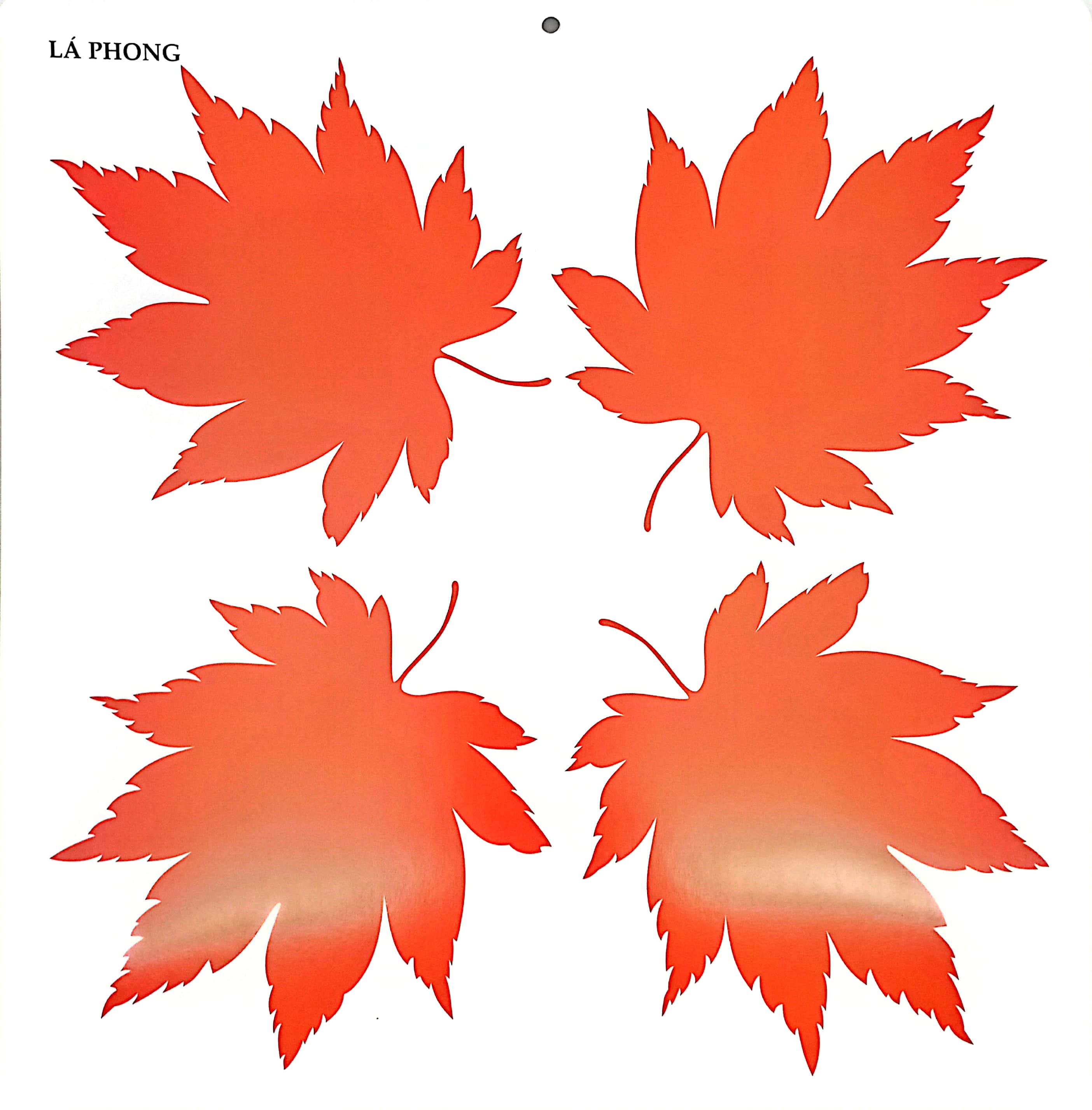 bộ kích thích phát triển thị giác cho bé - 6 tháng tuổi (tái bản 2019) - Ảnh 5