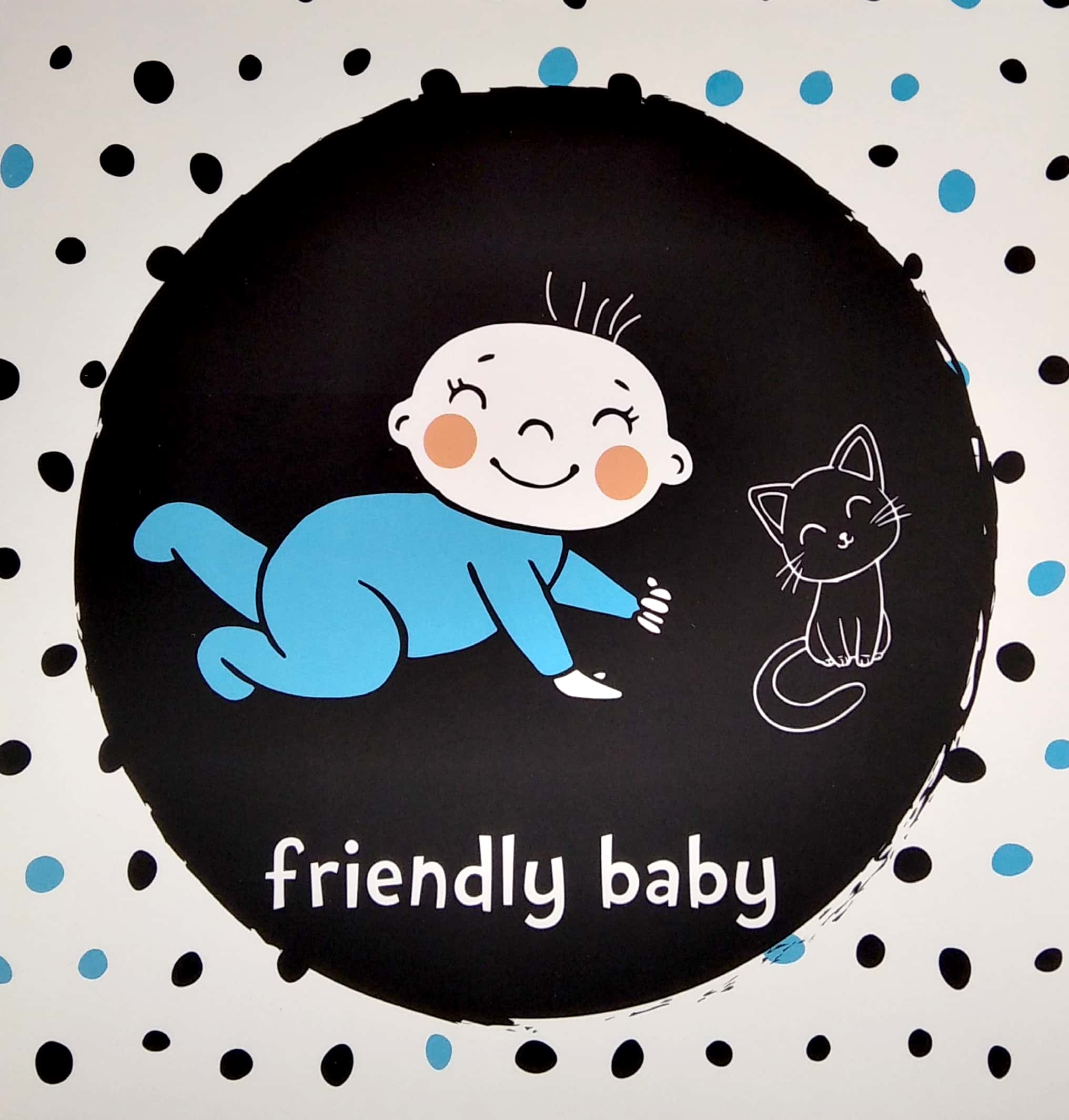 bộ kích thích thị giác black and white 2 (dành cho trẻ 0-3 tuổi) - Ảnh 5