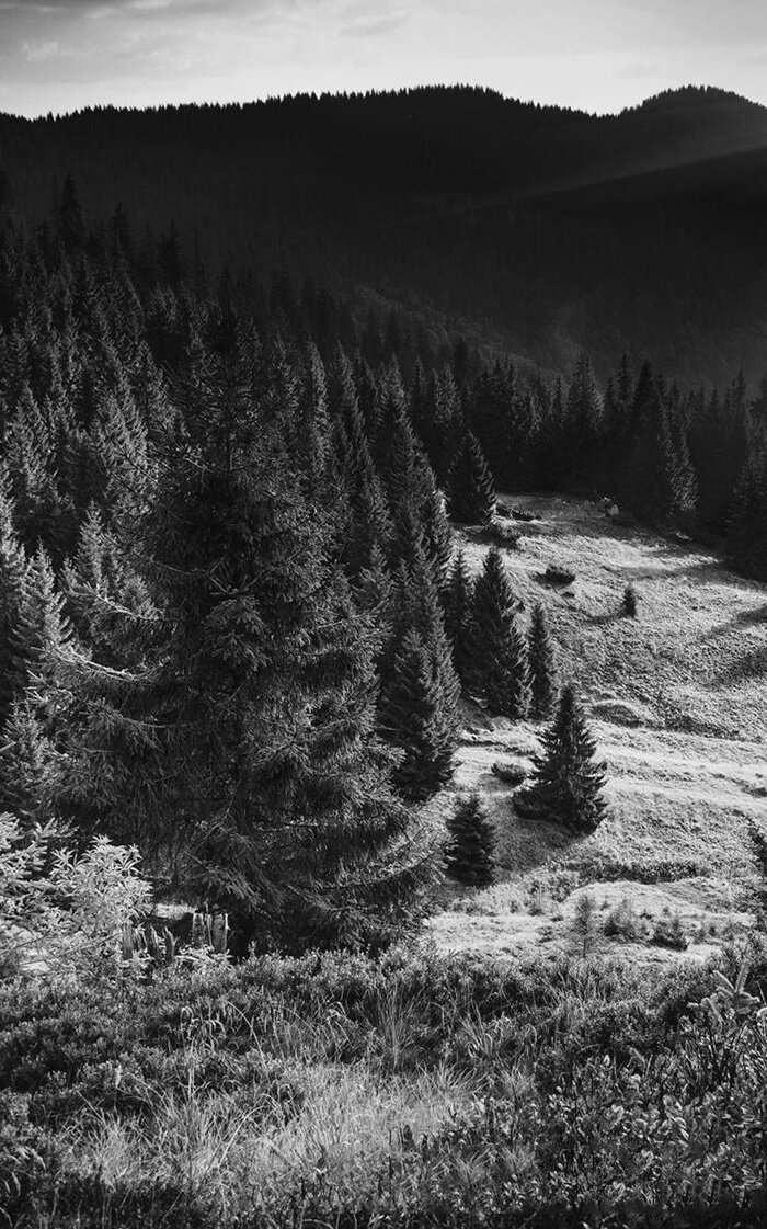 bộ lạc doanh nghiệp - corporate tribe - những bài học nhân học áp dụng cho doanh nghiệp - Ảnh 5