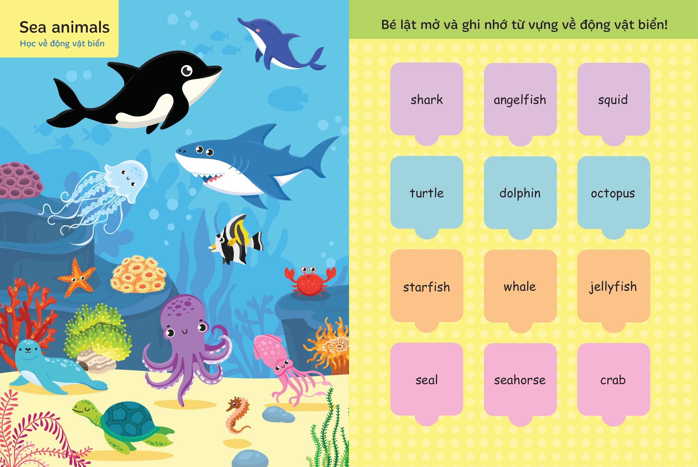 bộ lật mở từ vựng tiếng anh đầu tiên cho bé - cuốn 3 - Ảnh 3