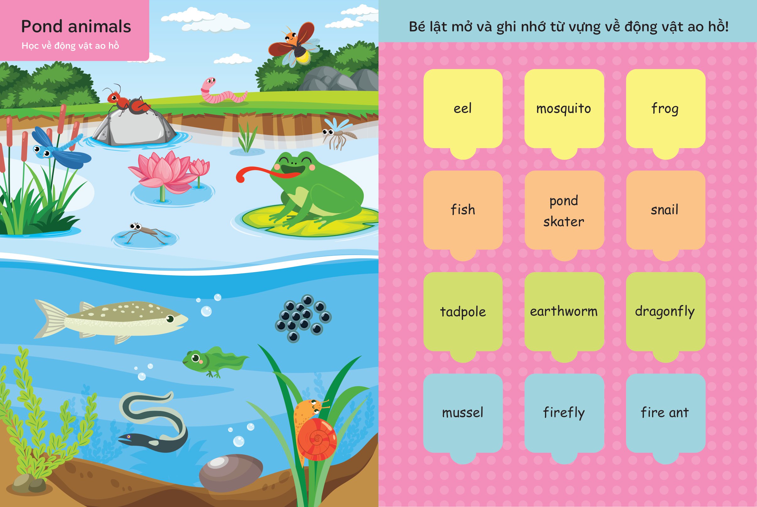 bộ lật mở từ vựng tiếng anh đầu tiên cho bé - cuốn 3 - Ảnh 4