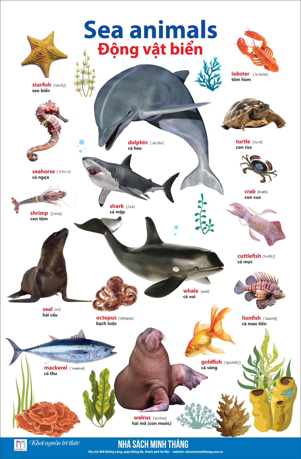 bộ learing english by pictures - học tiếng anh bằng hình ảnh - tập 1 (tái bản) - Ảnh 10