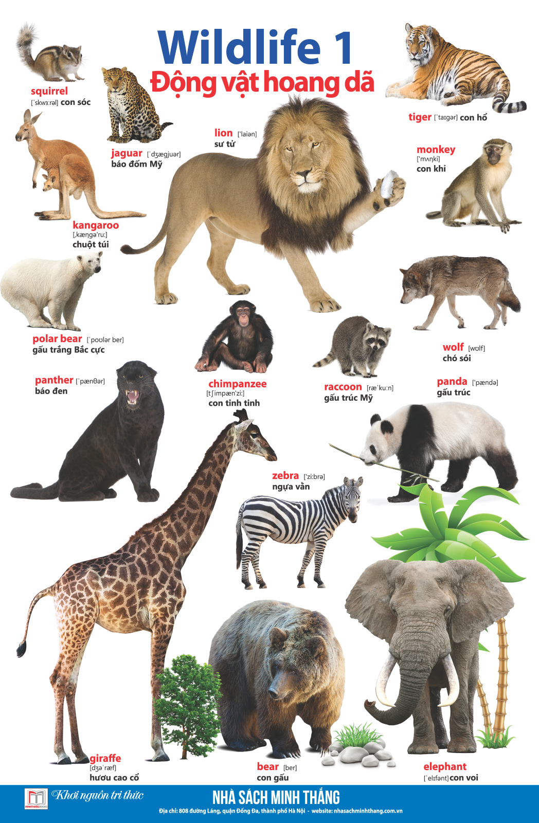 bộ learing english by pictures - học tiếng anh bằng hình ảnh - tập 1 (tái bản) - Ảnh 5