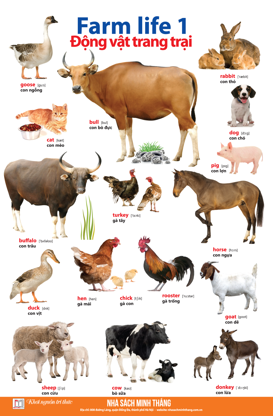 bộ learing english by pictures - học tiếng anh bằng hình ảnh - tập 1 (tái bản) - Ảnh 6