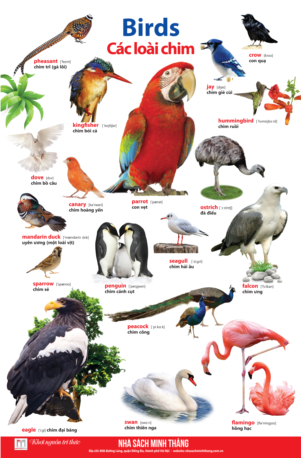 bộ learing english by pictures - học tiếng anh bằng hình ảnh - tập 1 (tái bản) - Ảnh 8