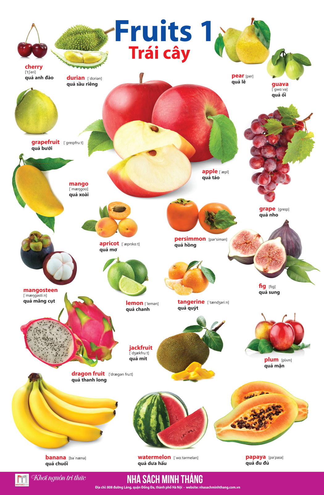 bộ learing english by pictures - học tiếng anh bằng hình ảnh - tập 1 (tái bản) - Ảnh 9