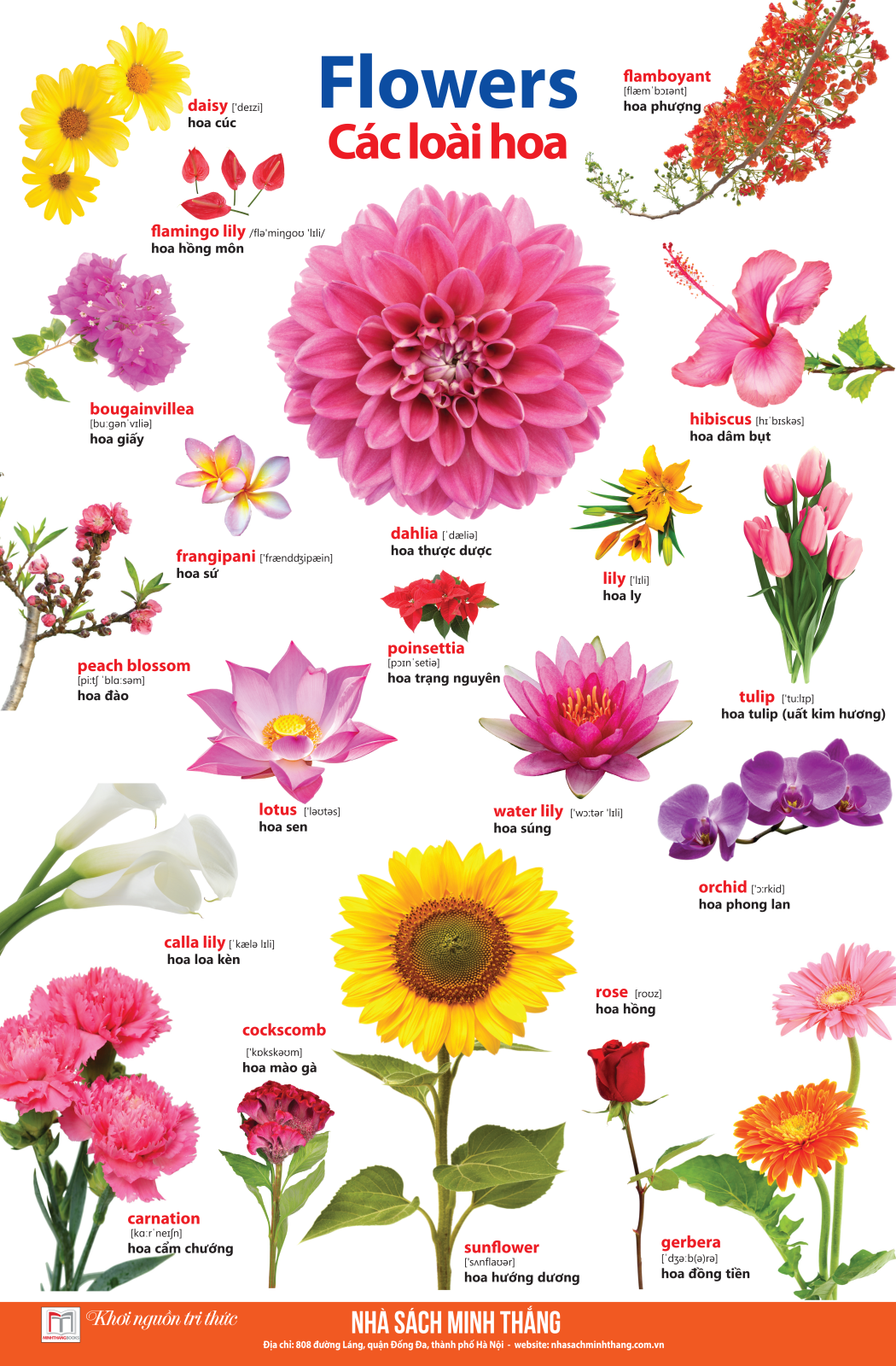 bộ learing english by pictures - học tiếng anh bằng hình ảnh - tập 2 (tái bản 2023) - Ảnh 10