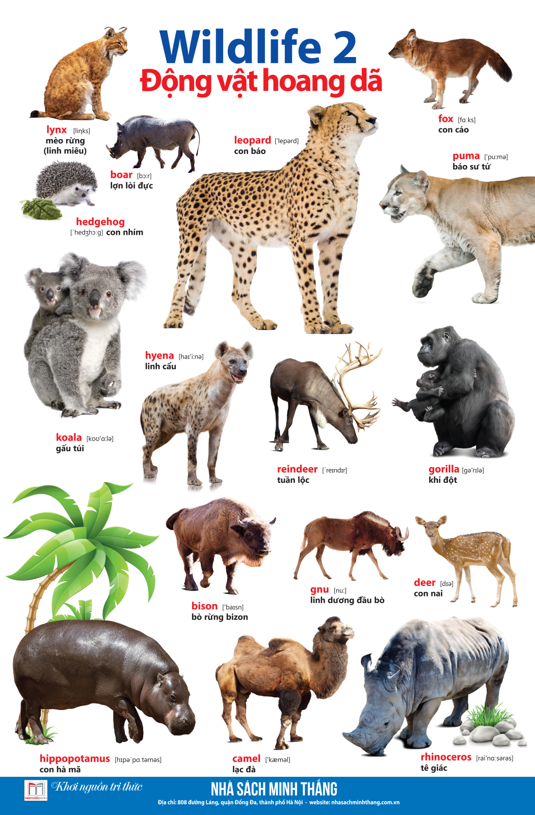 bộ learing english by pictures - học tiếng anh bằng hình ảnh - tập 2 (tái bản 2023) - Ảnh 5