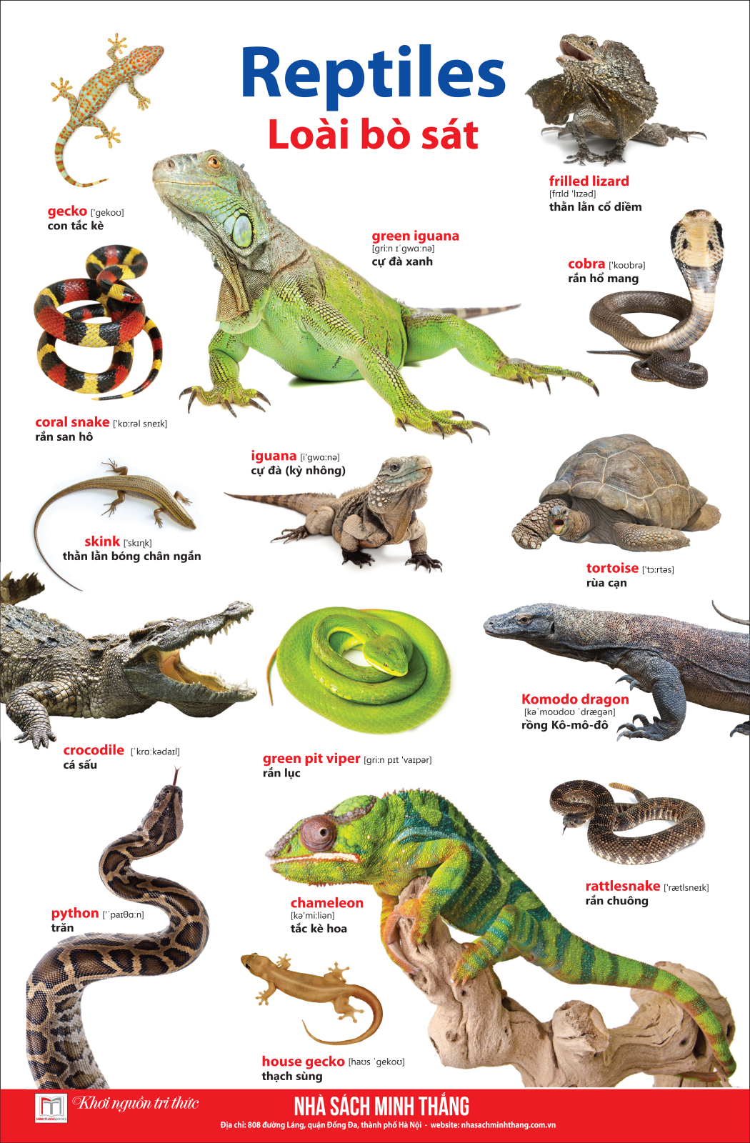 bộ learing english by pictures - học tiếng anh bằng hình ảnh - tập 2 (tái bản 2023) - Ảnh 8