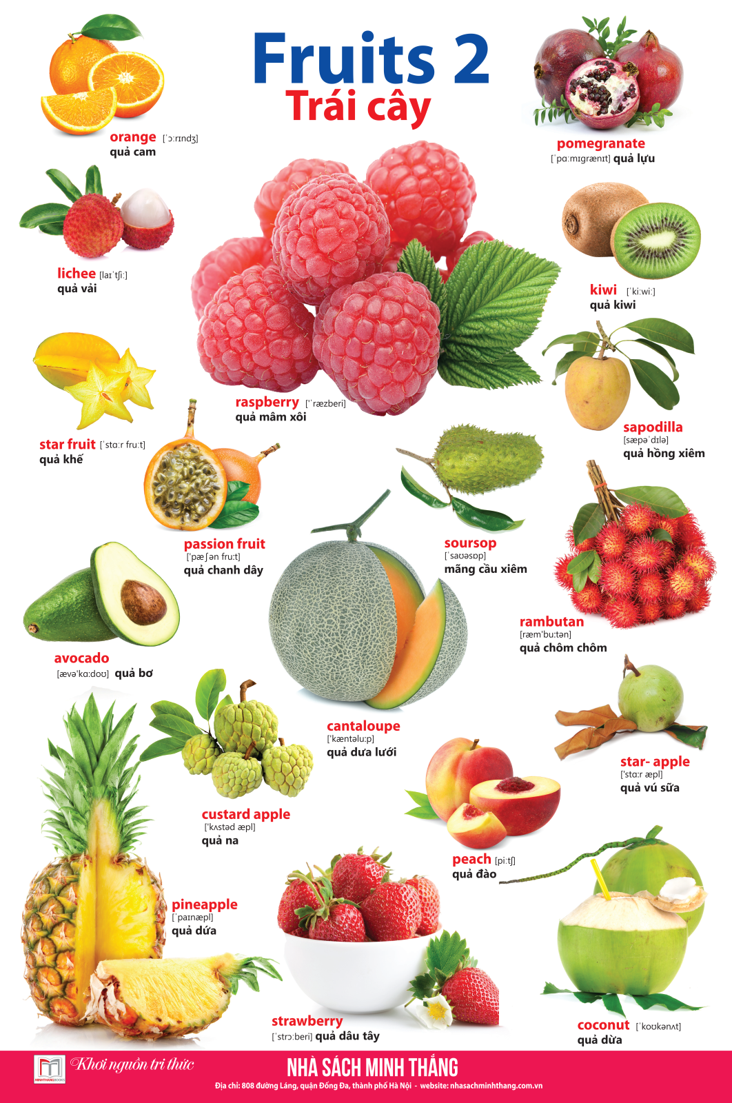 bộ learing english by pictures - học tiếng anh bằng hình ảnh - tập 2 (tái bản 2023) - Ảnh 9