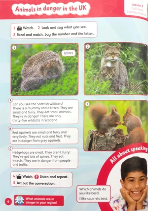 bộ learn with us: level 3: class book - Ảnh 8