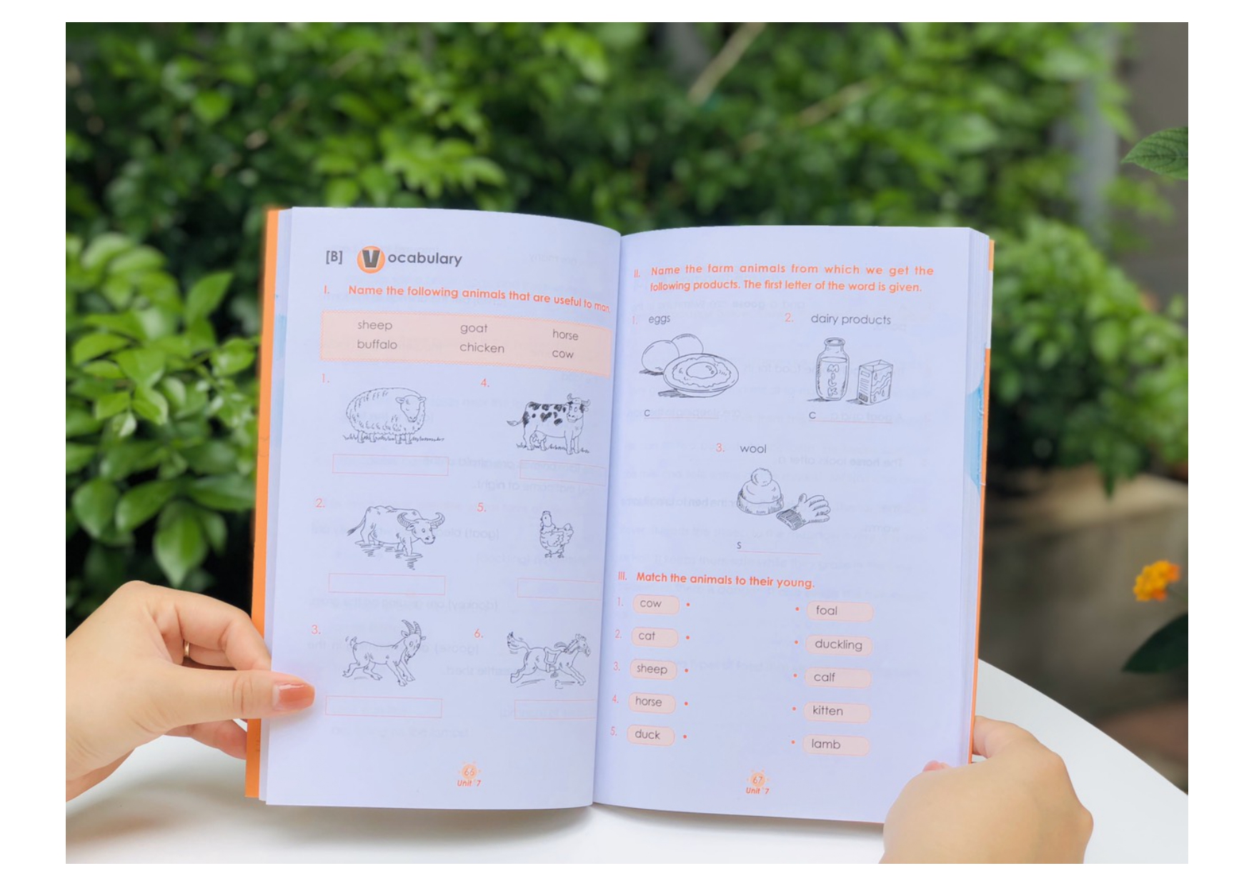 bộ learning english 1 - wordbook - Ảnh 8