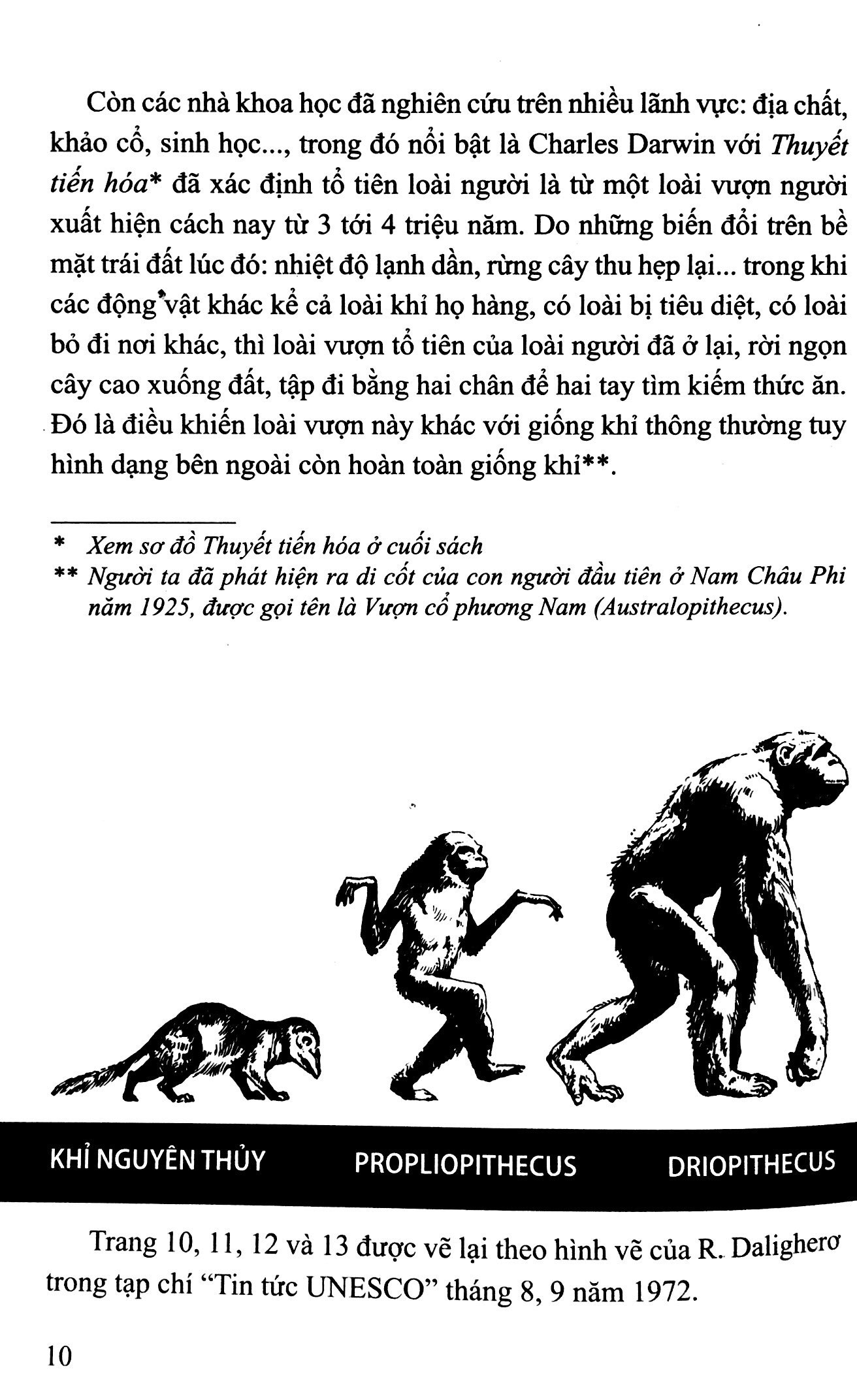 bộ lịch sử việt nam bằng tranh 01: người cổ việt nam (tái bản 2022) - Ảnh 7
