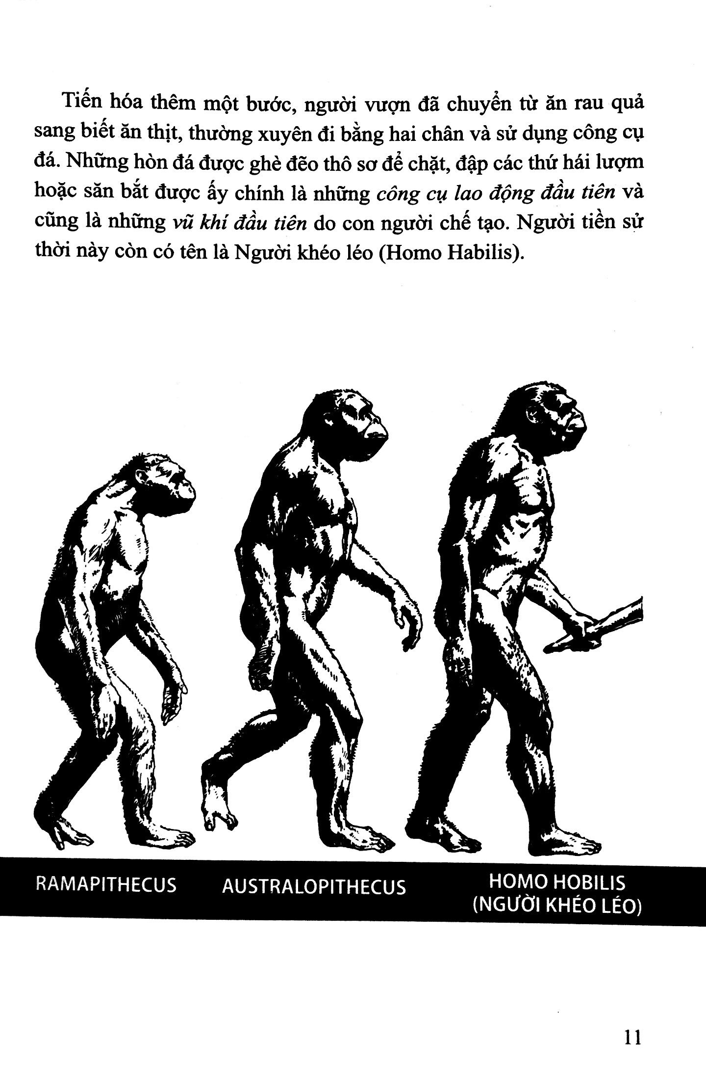 bộ lịch sử việt nam bằng tranh 01: người cổ việt nam (tái bản 2022) - Ảnh 8