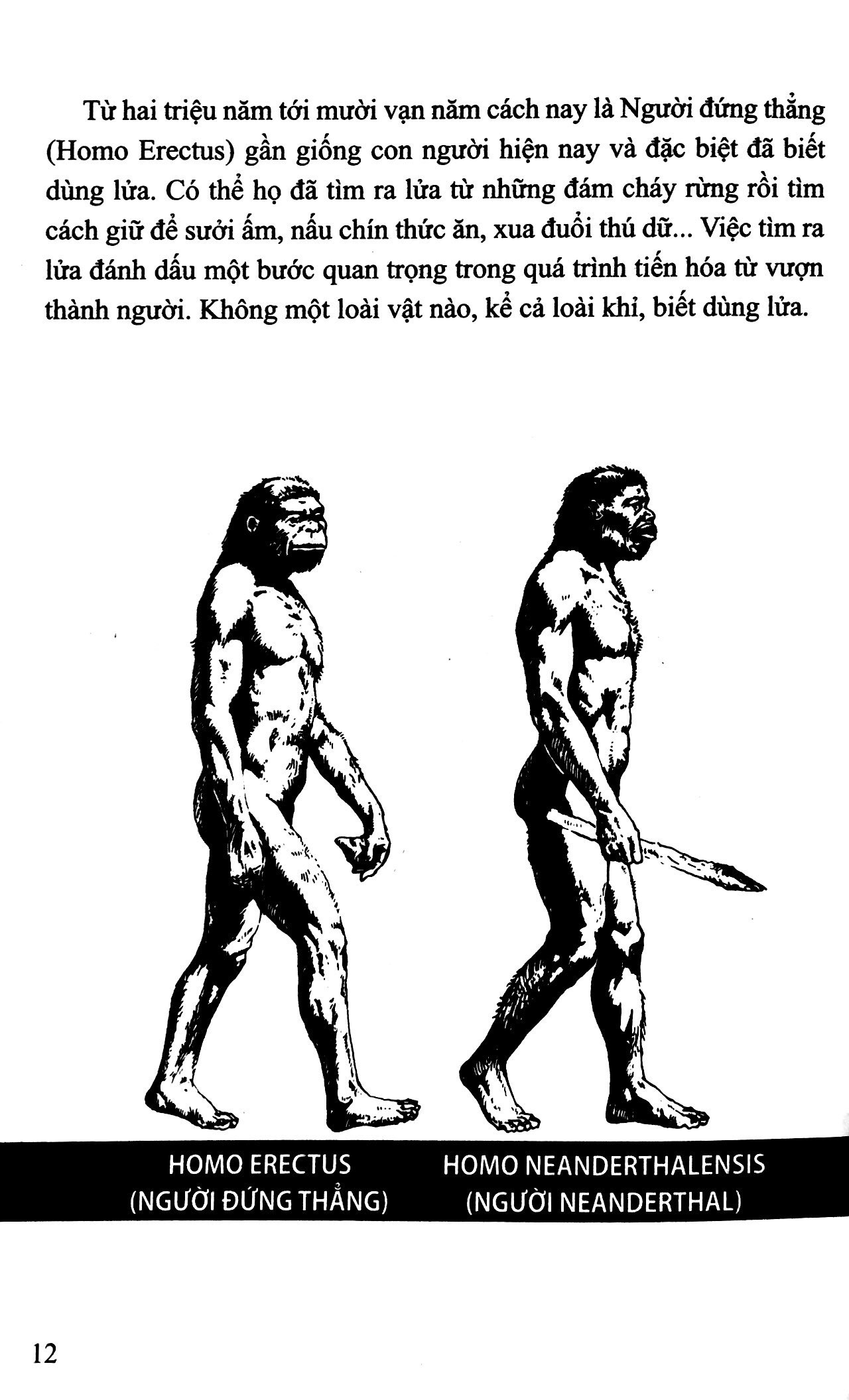 bộ lịch sử việt nam bằng tranh 01: người cổ việt nam (tái bản 2022) - Ảnh 9