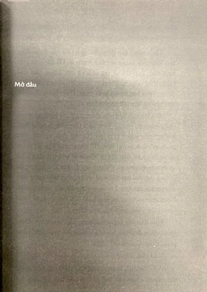 bộ [light novel] overlord - tập 2: chiến binh bóng tối - Ảnh 4