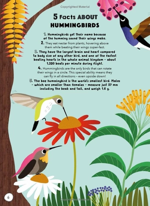 bộ lists for curious kids: animals: 206 fun, fascinating and fact-filled lists - Ảnh 5