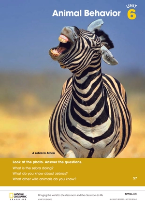 bộ look 3 student book (british english) - Ảnh 3