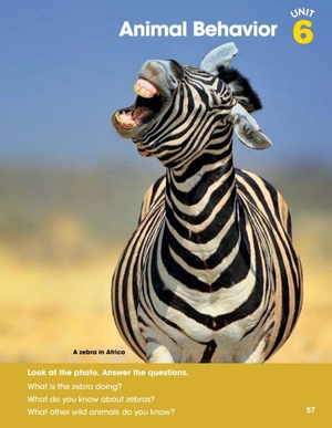 bộ look 3 student's book (look (american english)) - Ảnh 5