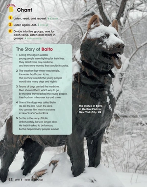 bộ look 6 (look, american english) - Ảnh 10