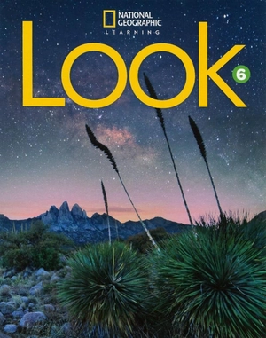 bộ look 6 (look, american english) - Ảnh 2