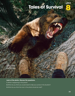 bộ look 6 (look, american english) - Ảnh 5