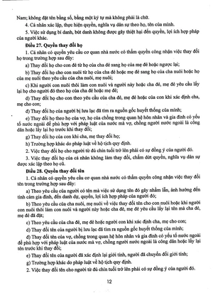 bộ luật dân sự - bộ luật tố tụng dân sự - luật tổ chức toàn án và văn bản hướng dẫn thi hành - Ảnh 9
