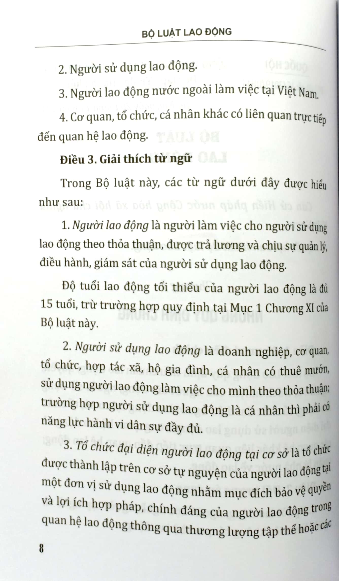 bộ luật lao động của nước cộng hòa xã hội chủ nghĩa việt nam (áp dụng 01.01.2021) - Ảnh 5