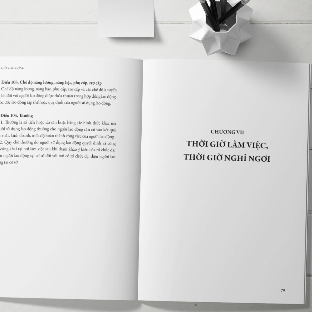 bộ luật lao động - được thông qua tại kỳ hợp thứ 8 quốc hội khóa xiv (bộ luật số 45/2019/qh 14 kỳ họp thứ 8 thông qua ngày 20/11/2019) - Ảnh 7