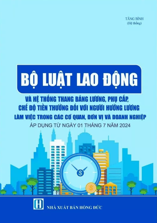bộ luật lao động và hệ thống thang bảng lương, phụ cấp, chế độ tiền thưởng đối với người hưởng lương làm việc trong các cơ quan, đơn vị và doanh nghiệp - Ảnh 2