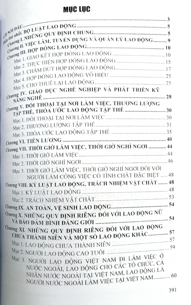 bộ luật lao động và hệ thống thang bảng lương, phụ cấp, chế độ tiền thưởng đối với người hưởng lương làm việc trong các cơ quan, đơn vị và doanh nghiệp - Ảnh 3