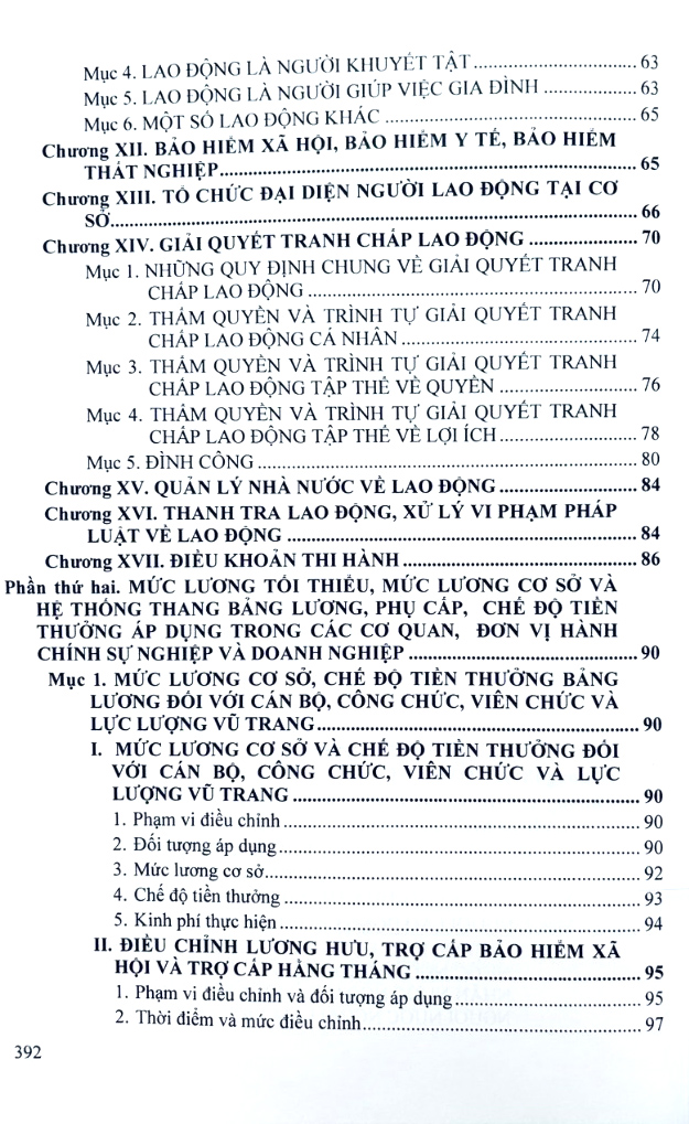 bộ luật lao động và hệ thống thang bảng lương, phụ cấp, chế độ tiền thưởng đối với người hưởng lương làm việc trong các cơ quan, đơn vị và doanh nghiệp - Ảnh 4