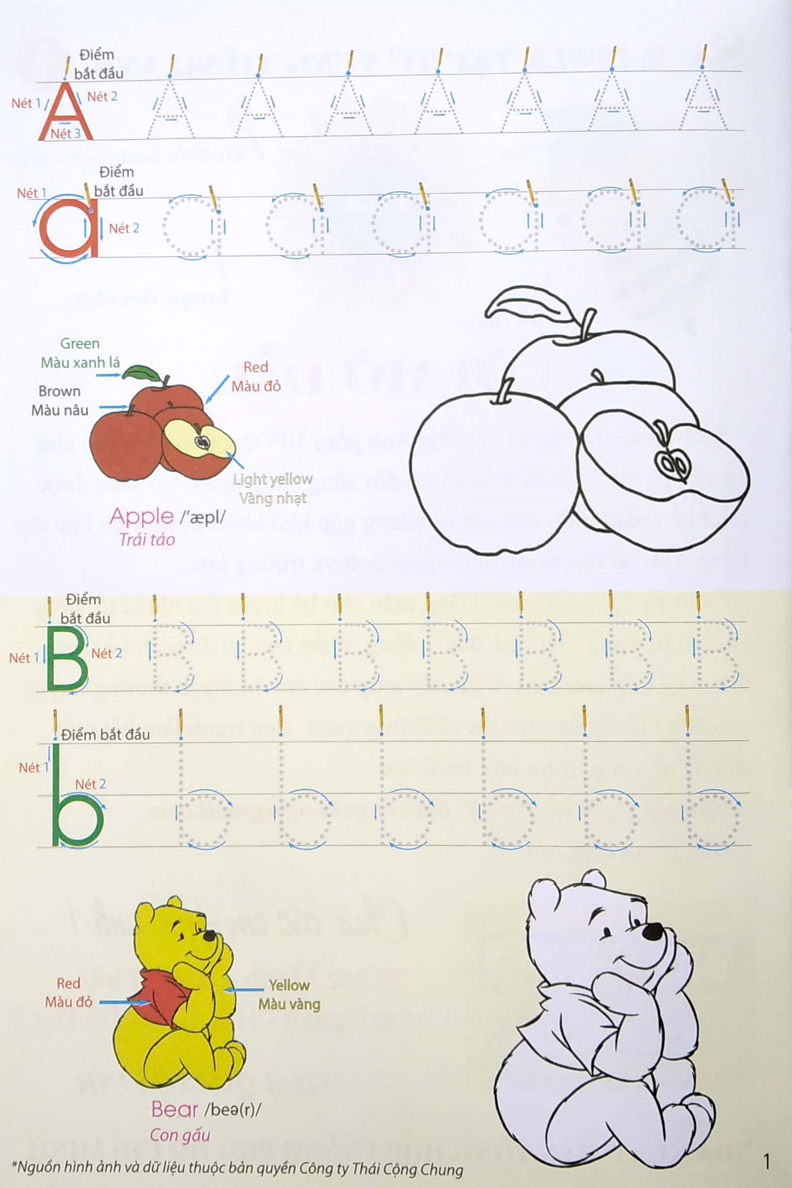 bộ luyện tập từ vựng tiếng anh - tập 1 - Ảnh 4