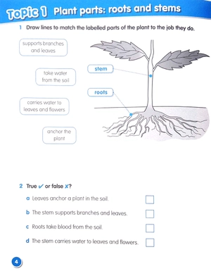 bộ macmillan science 3: workbook - Ảnh 5