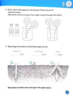 bộ macmillan science 3: workbook - Ảnh 6