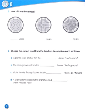 bộ macmillan science 3: workbook - Ảnh 7