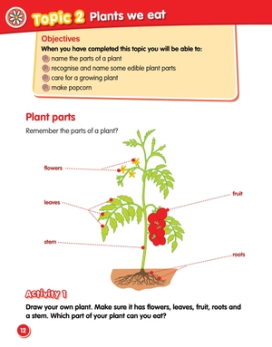 bộ macmillan science level 2 workbook - Ảnh 4