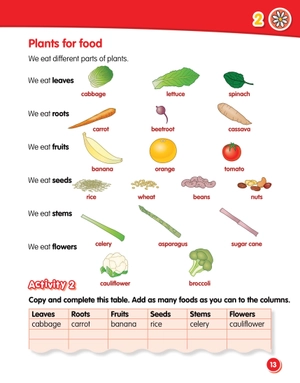 bộ macmillan science level 2 workbook - Ảnh 5