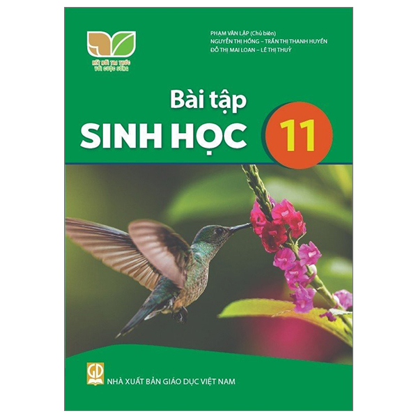 Bộ Mĩ Thuật 11 - Đồ Hoạ (Tranh In) (Kết Nối) (Chuẩn) - Ảnh 25