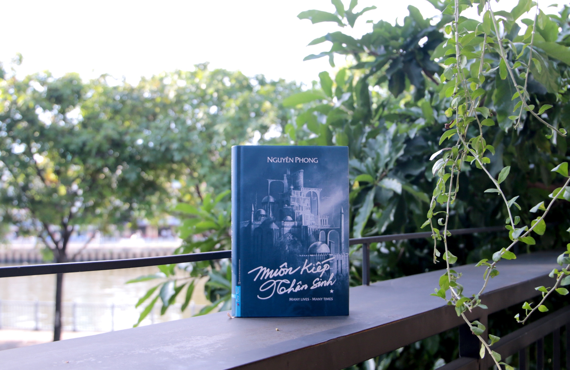 bộ muôn kiếp nhân sinh - many times, many lives (bìa cứng) - Ảnh 7