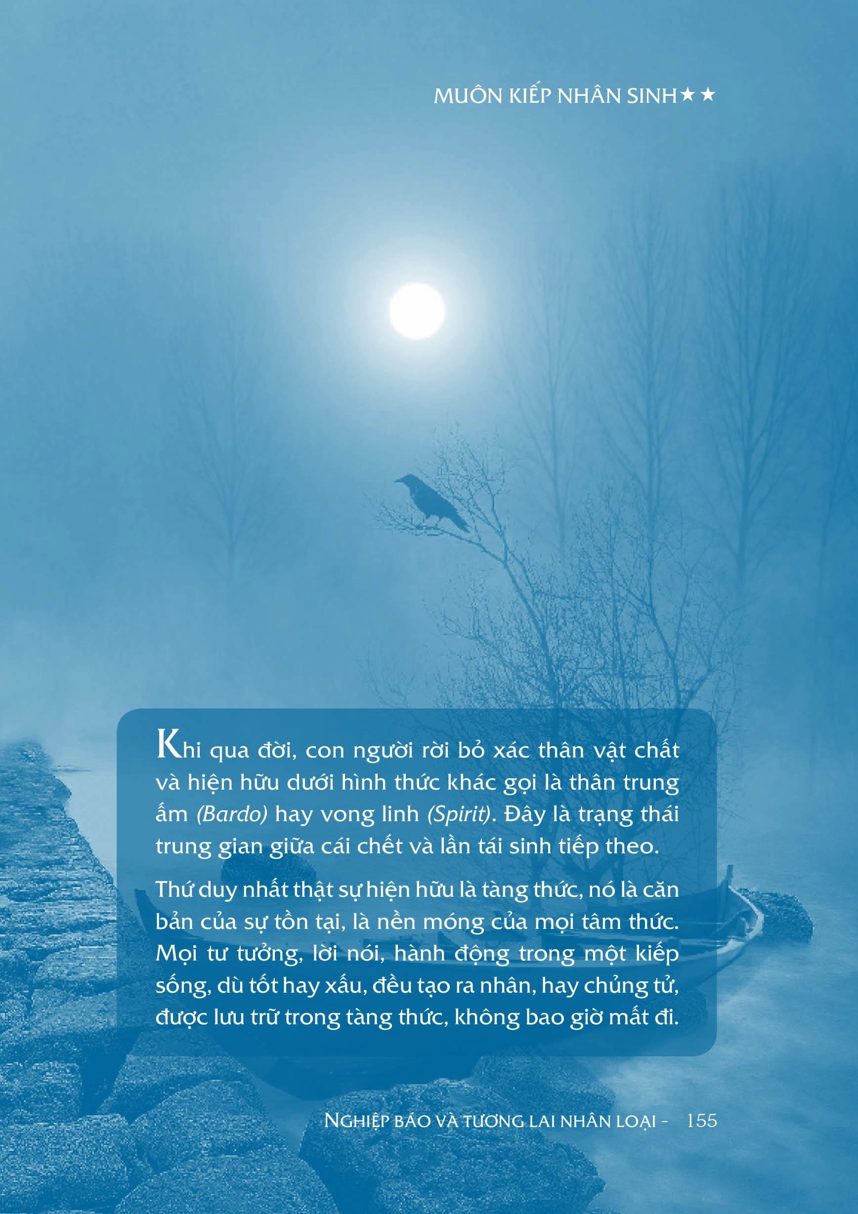 bộ muôn kiếp nhân sinh - many times, many lives - tập 2 - Ảnh 4