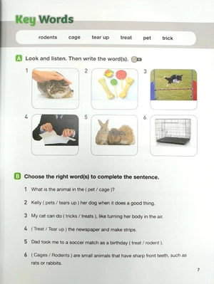 bộ my best reading 4 student book - Ảnh 5