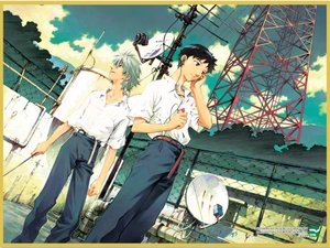 bộ neon genesis evangelion - collectorℹs edition - tập 6 - tặng kèm shikishi nhân vật shinji và kaworu - Ảnh 3